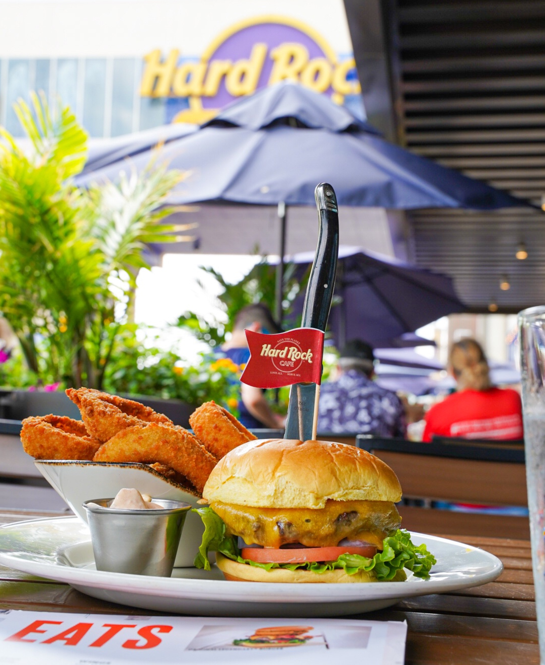Places To Eat In Atlantic City - Hard Rock Cafe. - Claudia Caminero